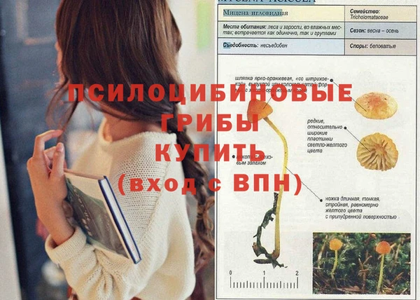 мяу мяу кристалл Кукмор