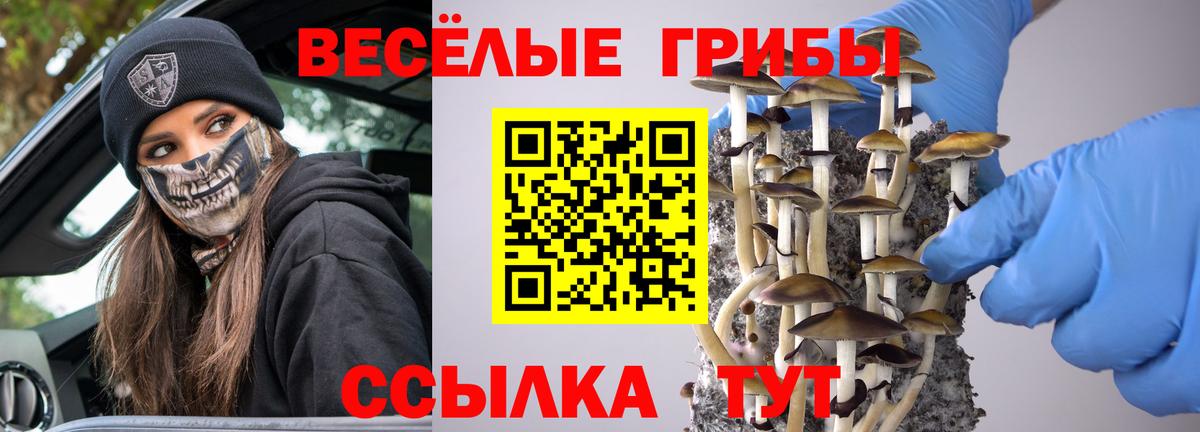 Галлюциногенные грибы ЛСД Жуковский