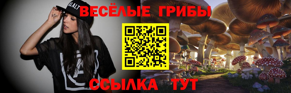 даркнет сайт  Вход с VPN  Жуковский  Псилоцибиновые грибы Cubensis 